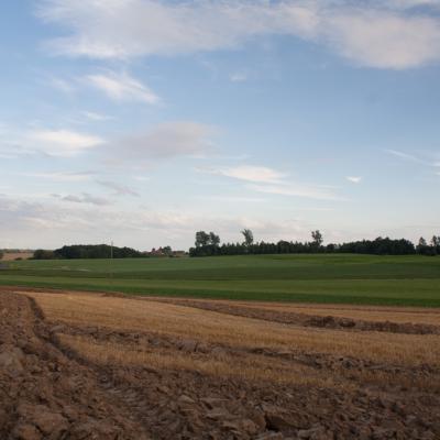 IMG_8644