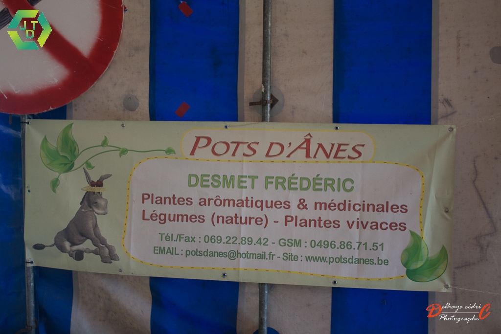 Thieulain_Samedi 